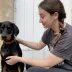 Avis de Céline Dejoux